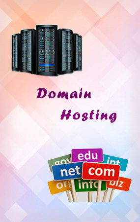 domain hosting oragadam